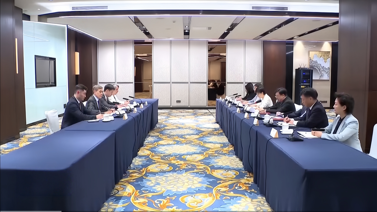 Feng Fei Meets with SCO Secretary-General Yermekbayev