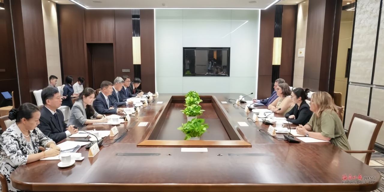 Liu Xiaoming Meets Delegation from Ireland's County Wicklow
